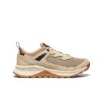 Men's Hightrail Waterproof Hiking Shoe  |  Brindle/Birch